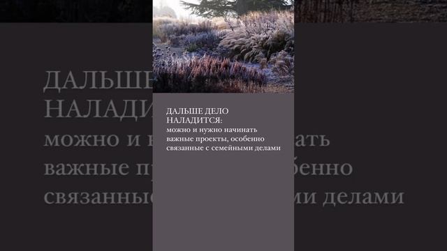 Совет на день #узел #картажеланий #трансформация смотреть онлайн