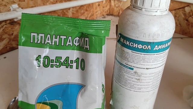 Томаты без пикировки. Томаты переохладились - чем подкормить? смотреть онлайн