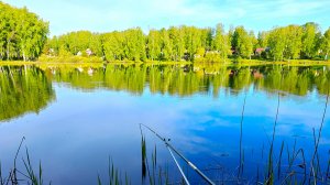 Поклёвки, которые не забываются