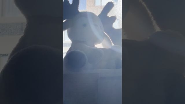 Зимнее чудо#travel#путешествие#зима#выходные#учеба