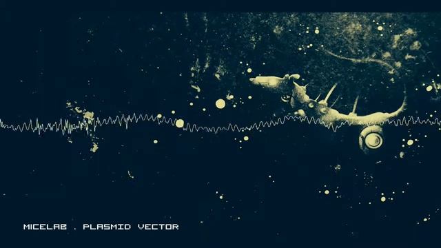MiceLab - Plasmid Vector смотреть онлайн