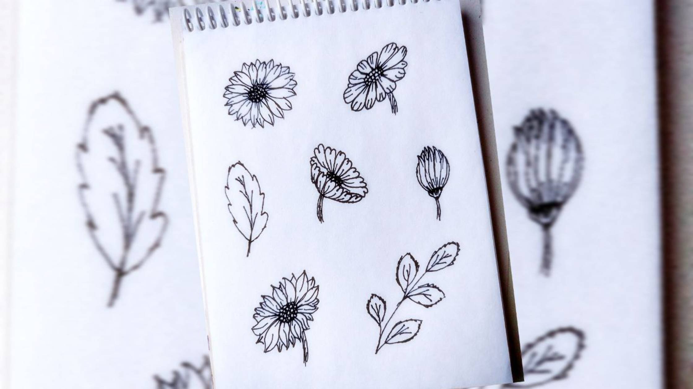 Как легко и красиво нарисовать цветы смотреть онлайн