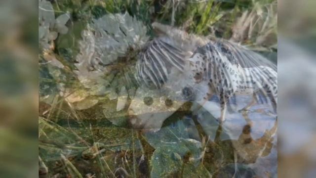 Давненько фоточек не было со шляйхами #8 смотреть онлайн