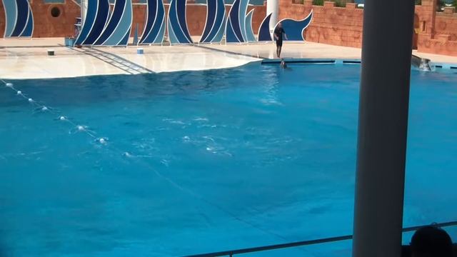 Турция 2017 sunmelia beach resort hotel & spa 5 смотреть онлайн