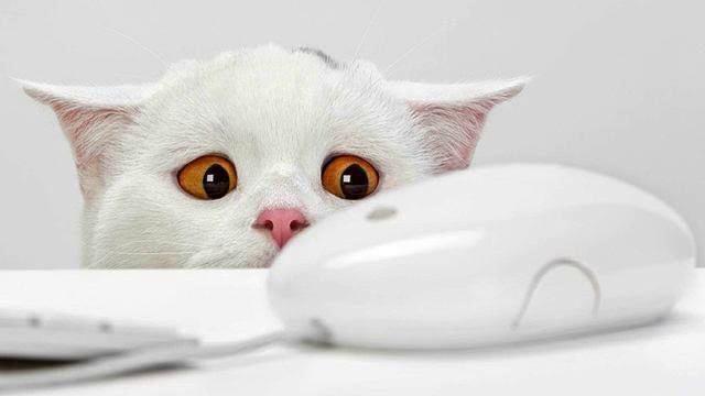 Музыка нового времени. Настоящий хит! Душа полетела! смотреть онлайн