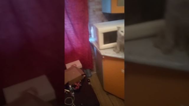 подготовка мяса к мантам смотреть онлайн