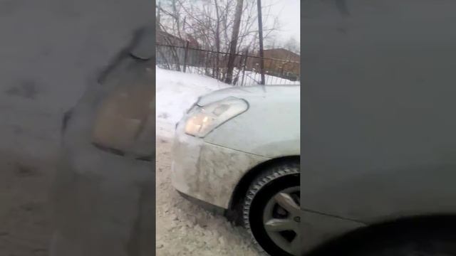 Собака дибил смотреть онлайн