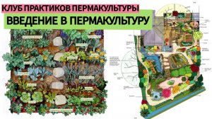 Введение в пермакультуру