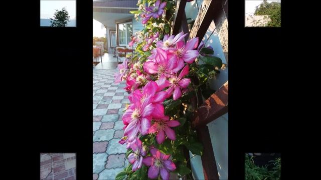 Июль 20, 2019 смотреть онлайн