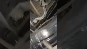 Обработка антикоррозийной смазкой АМС 3 передних крыльев и скрытых полостей моего Nissan Patrol Y61