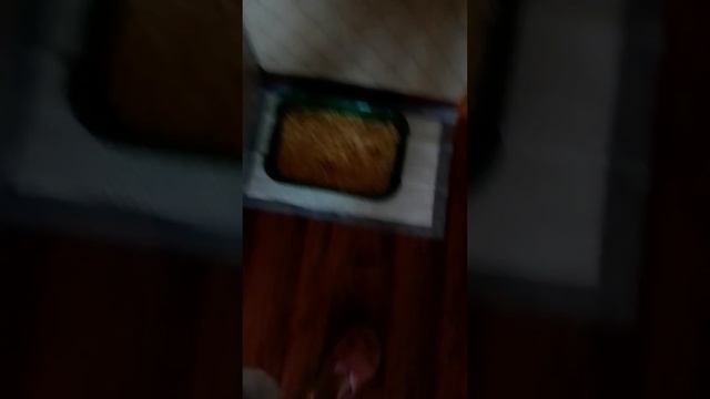 что мы купили для котика смотреть онлайн