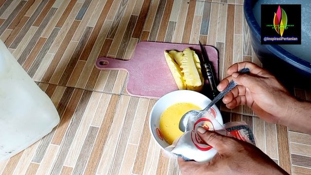 Pertanian - Membuat Pupuk Asam Amino Sebagai Pengganti Pupuk NPK Lengkap смотреть онлайн