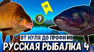 RF4 АПП ЛВЛ, АПП НАВЫКОВ, КАРПОВАЯ ЛОВЛЯ, ПРОКАЧКА, ТУР НА МЕДНОЕ #рр4