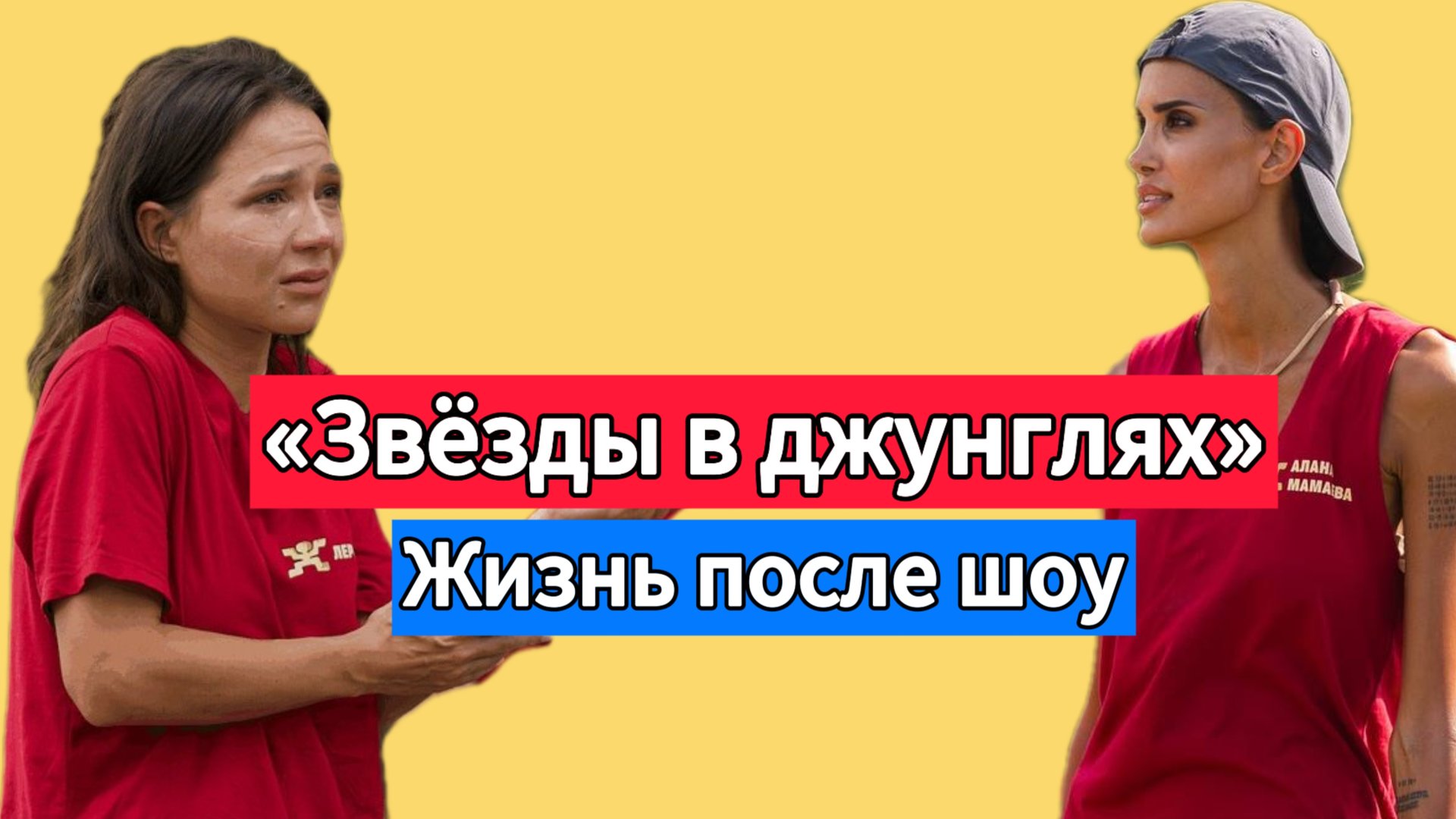 ЗВЁЗДЫ В ДЖУНГЛЯХ: Жизнь после шоу