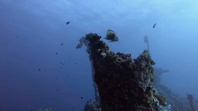 Underwater And Chill - Iona Ship Wreck - Redsea - Yanbu