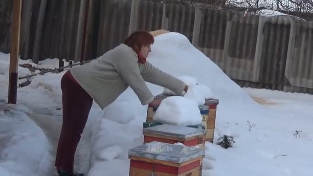 Зимові "тортіки" на пасіці (відеожарт) смотреть онлайн