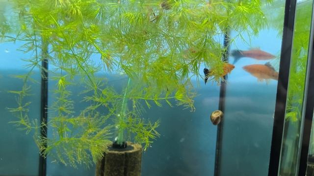 обзор ФишХаус смотреть онлайн