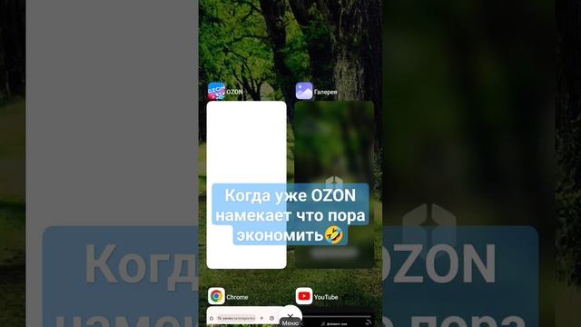 Видимо пора экономить #ozon#android#xiaomi#покупки#маркетплейс#истории смотреть онлайн