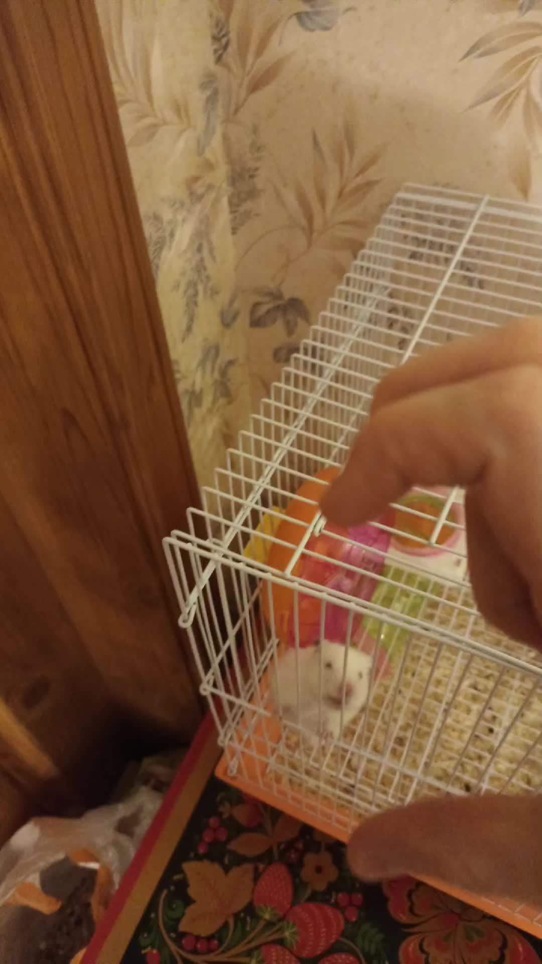 вечерок смотреть онлайн