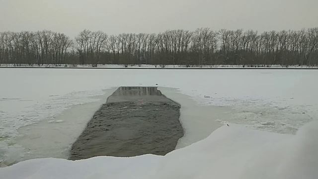 Как пользоваться прорубью. Обращение Натальи Серой к пользователям проруби на Живописной. 9.12.23. смотреть онлайн