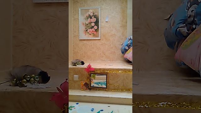 Ивангай занялся этим шок смотреть онлайн