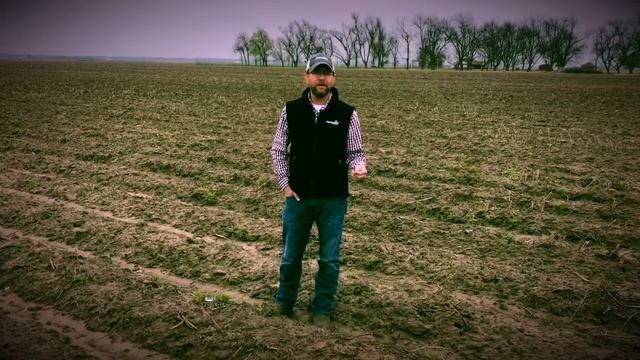 Soil temperature and planting смотреть онлайн