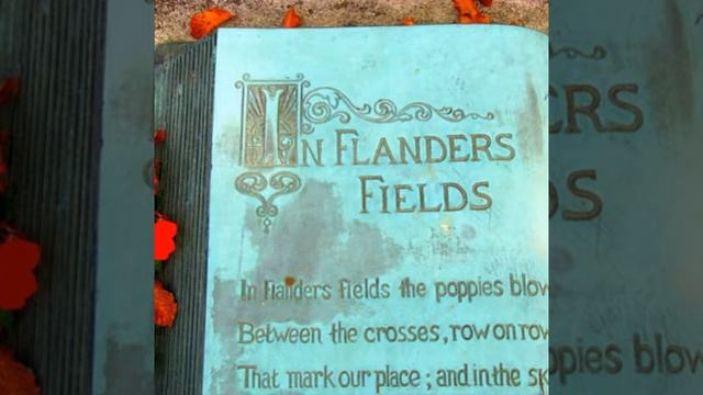 In Flanders Fields