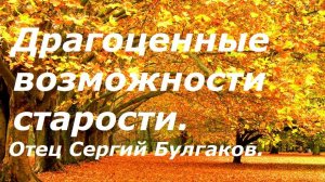 Драгоценные возможности старости. Как бы их не проморгать. Отец Сергий Булгаков.