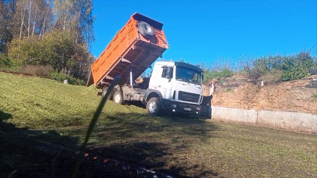 Силосование 2024