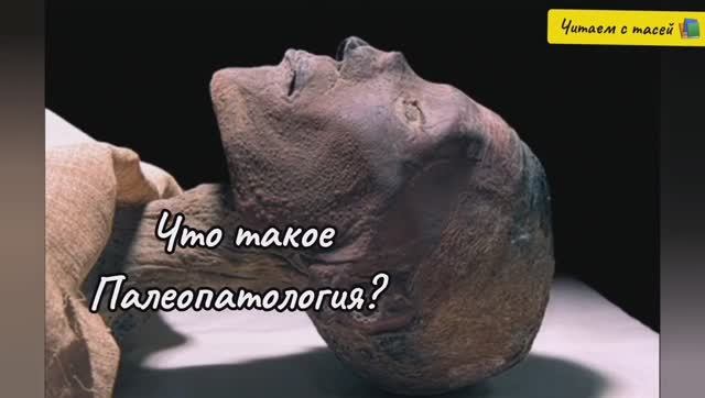 Что такое палеопатология смотреть онлайн