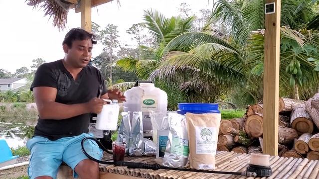 Organic Foliar Feed Spray for Fruit Trees - Mangos - kill Anthracnose - Powdery Mildew anti fungal смотреть онлайн