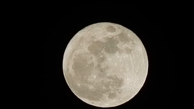 Sturgeon Moon South Hemisphere View смотреть онлайн