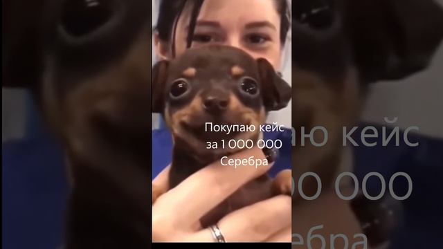 Маус выпал! смотреть онлайн