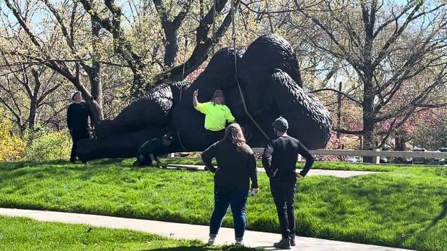 Nearly 5,000-pound bronze gorilla sculpture on display in Bruce Museum смотреть онлайн