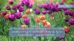 ЯСИН Сура Омар Хишам переводом. Сура Ясин. Коран.