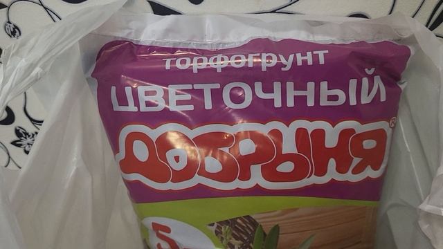 Самый быстрый способ вырастить салат зимой🥬 смотреть онлайн