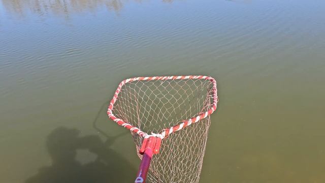 Платная рыбалка в Сочи. Стоимость. Каков Улов?! смотреть онлайн