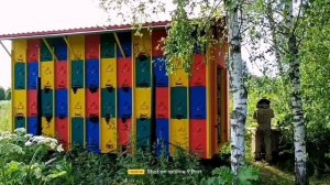 павильон Берендей на 96 пчелосемей, для разведенческой пасеки. 12 июля 2024 г.