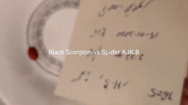 Red Mercury In Original Live Show . Red Mercury 20+20 In Russia Germany