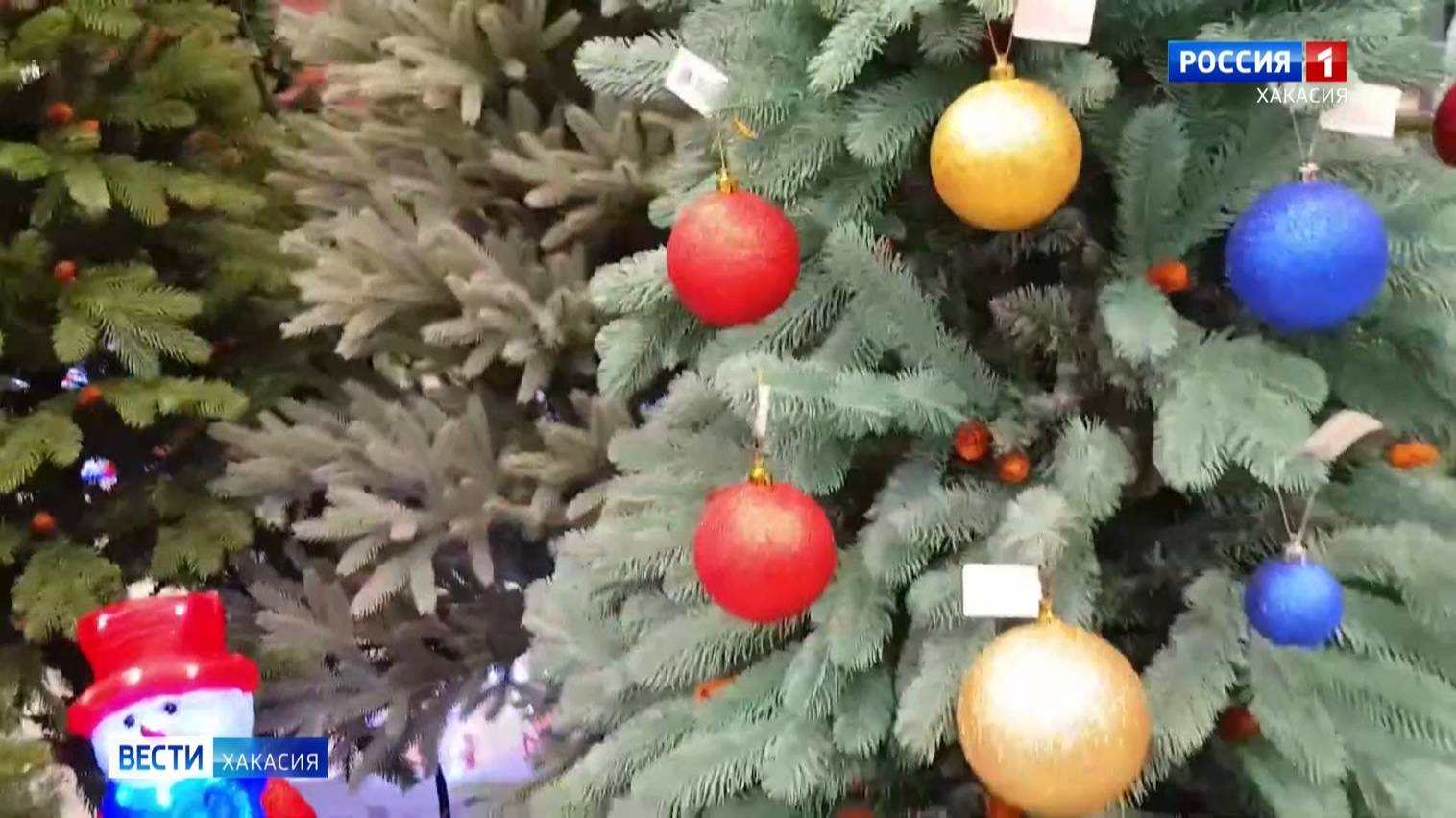 Жители Хакасии выбирают искусственные ёлки смотреть онлайн