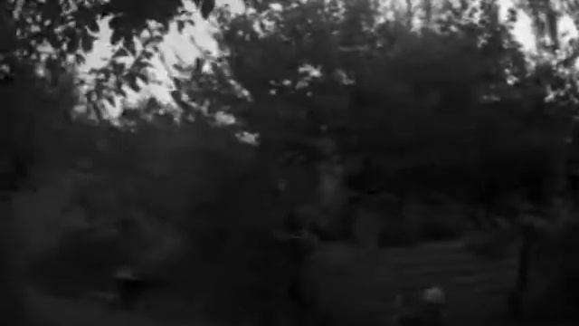 тренировки смотреть онлайн