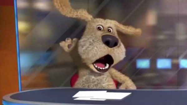 АОАОАОАОАОАО