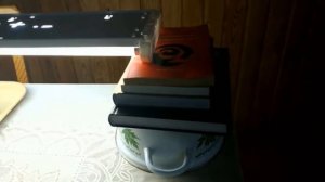 Основные ошибки при выращивании рассады дома. ШПАРГАЛКА 12