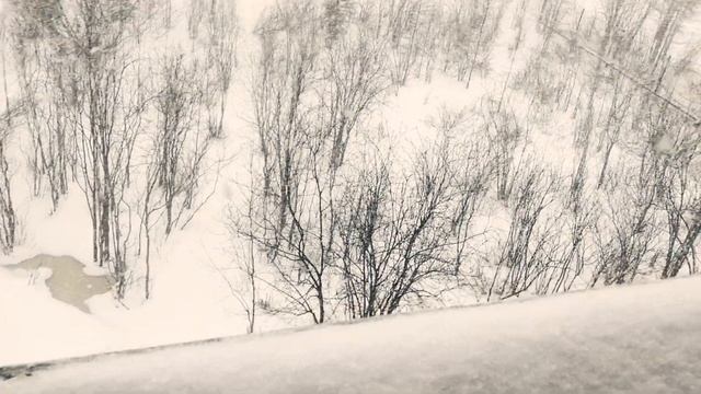 -5с°=16 Мая, отличная погодка! смотреть онлайн