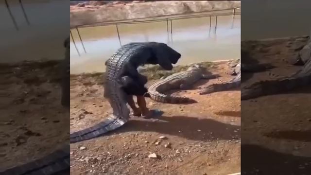 До изобретения страха ☝️😉✌️😂😂😂 смотреть онлайн