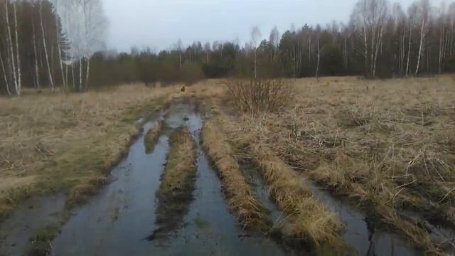 Гуляем по окрестностям. Всех с праздником Пасхи. смотреть онлайн