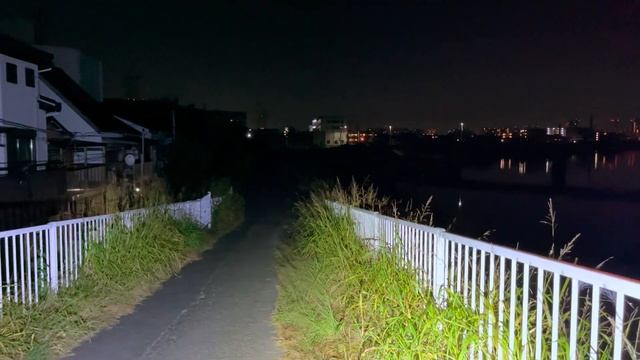【4KHDR】 心霊スポット 140 神奈川県横浜市 鷹野人道橋 Night Walk in Japan | HUNT | haunted |【心霊映像】 смотреть онлайн