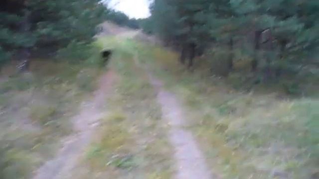 Иду в заброшенную деревню в поисках нового точка для пчёл. Размышления о жизни. смотреть онлайн