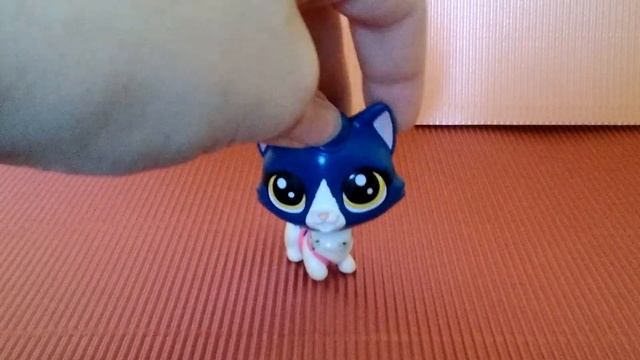 Ошибки начинающих лпс блогеров (мои в том чесле) смотреть онлайн