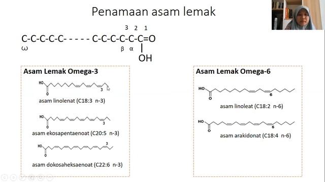 Pangan Fungsional: PUFA смотреть онлайн